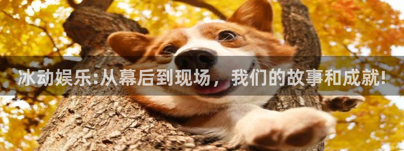 南宫大舞台官网入口：冰动娱乐:从幕后到现场，我们的故事和成就!