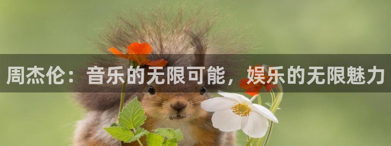 南宫大舞台官网入口：周杰伦：音乐的无限可能，娱乐的无限魅力