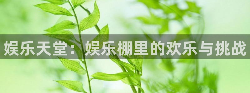 南宫大舞台：娱乐天堂：娱乐棚里的欢乐与挑战