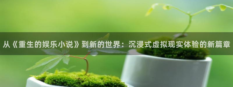 南宫大舞台：从《重生的娱乐小说》到新的世界：沉浸式虚拟现实体验的新篇章