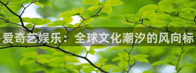 NG大舞台：爱奇艺娱乐：全球文化潮汐的风向标