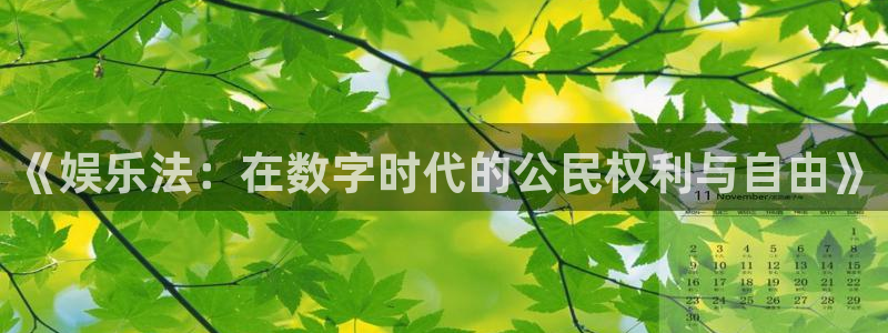 南宫大舞台官网入口：《娱乐法：在数字时代的公民权利与自由》