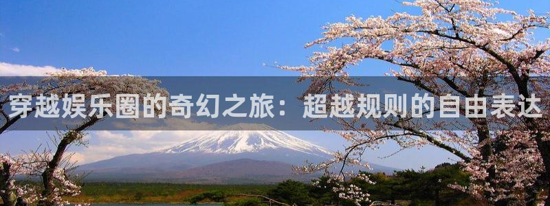 NG大舞台：穿越娱乐圈的奇幻之旅：超越规则的自由表达