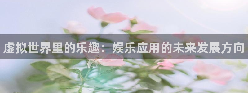 NG大舞台：虚拟世界里的乐趣：娱乐应用的未来发展方向