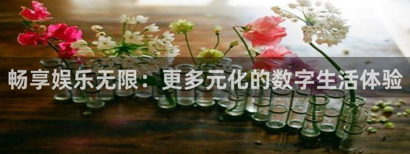 南宫大舞台：畅享娱乐无限：更多元化的数字生活体验